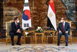 خبير يحدد أهمية العلاقات المصرية الاقتصادية مع كوريا الجنوبية