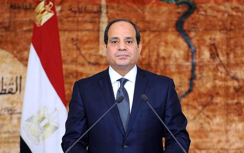 كيف تدير مصر سياستها الخارجية في عهد السيسي؟ (فيديو)