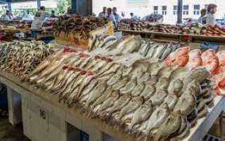 أسعار الأسماك اليوم الأربعاء